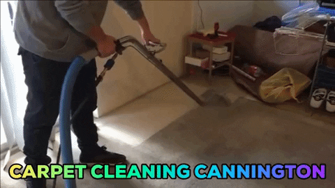 Professional Carpet Cleaning Cannington